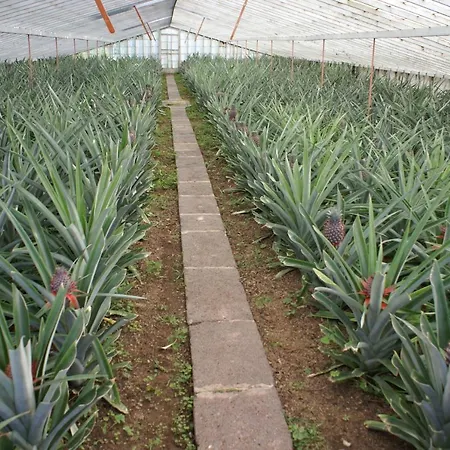 Apartment Laranjeiras *