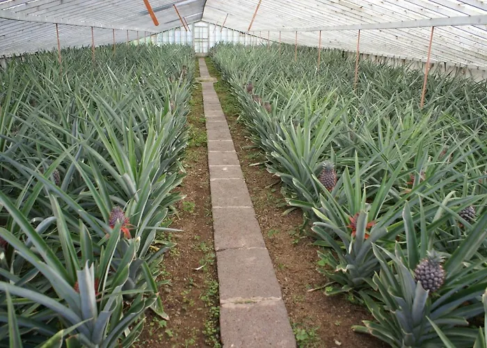 アパート Laranjeiras *